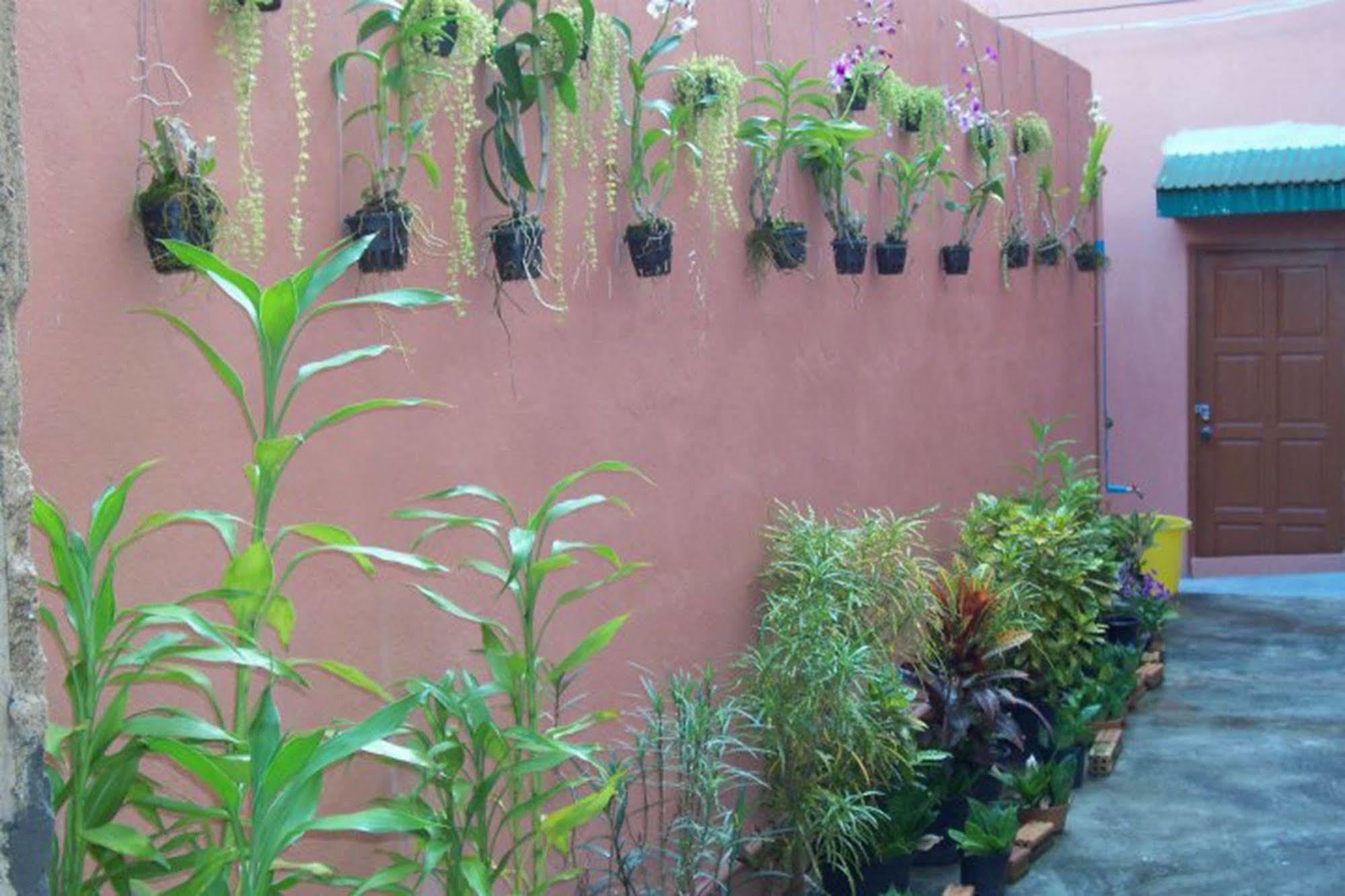 D'S Corner & Guesthouse Phuket Exterior foto